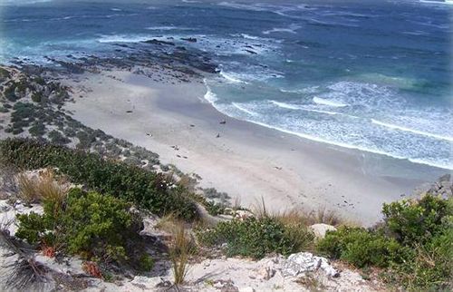 Flour Cask Bay Retreat Διαμέρισμα Haines Εξωτερικό φωτογραφία